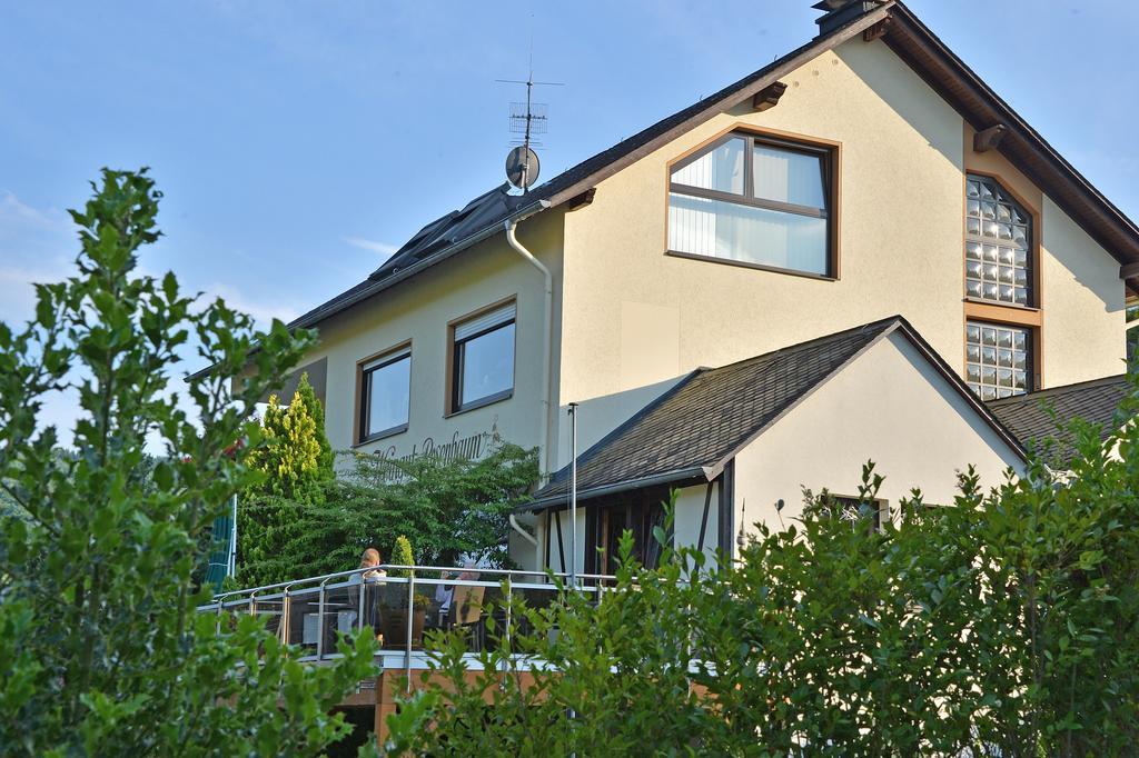 Apartamento Weingut Rosenbaum Briedel Habitación foto
