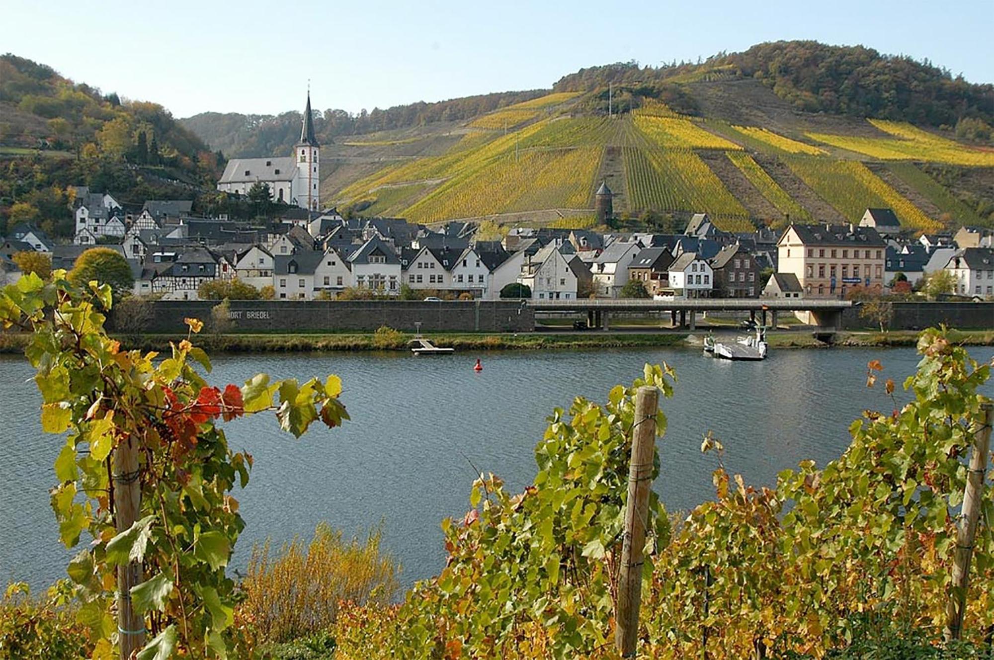 Apartamento Weingut Rosenbaum Briedel Exterior foto