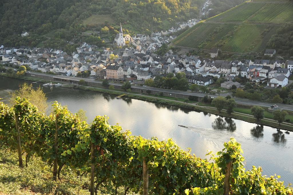 Apartamento Weingut Rosenbaum Briedel Exterior foto