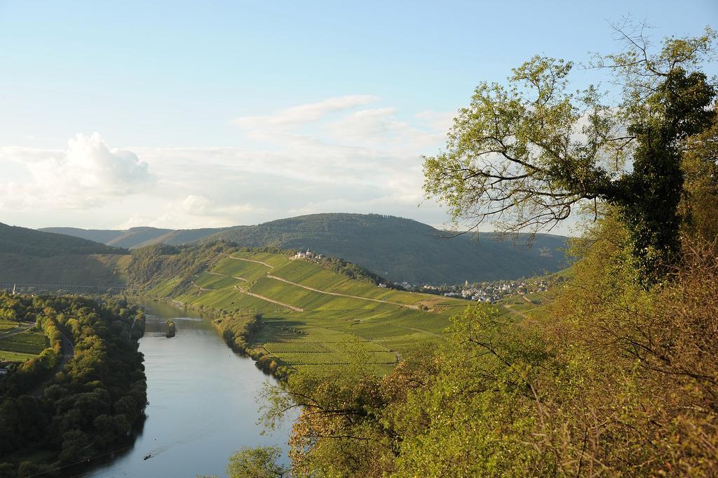 Apartamento Weingut Rosenbaum Briedel Exterior foto