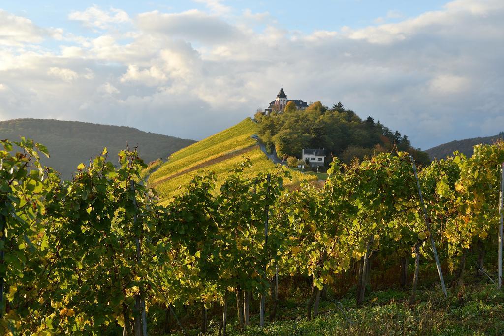 Apartamento Weingut Rosenbaum Briedel Exterior foto